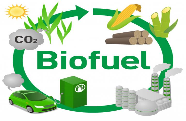 Pradhan Mantri JI-VAN Yojana - For Promoting Bioethanol Production