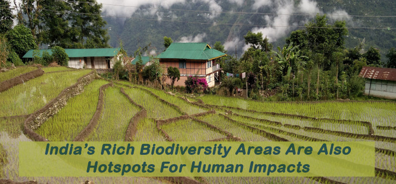 India’s Rich Biodiversity Areas Are Also Hotspots For Human Impacts
