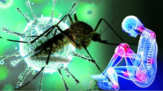 Chikungunya Virus Developed