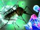Chikungunya Virus Developed