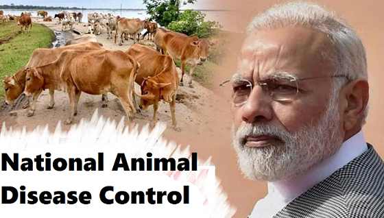 National Animal Control Programme