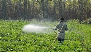 Regulate Pesticides Approved